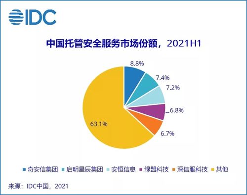2021上半年中國IT安全服務市場躍升 整體收入約11.1億美元，同比增長達110%，互聯網接入及相關服務成關鍵驅動力