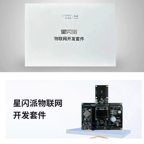 潤和軟件攜“星閃”“鴻蒙”產(chǎn)品亮相FCES2024未來計(jì)算機(jī)教育峰會，引領(lǐng)軟件開發(fā)新趨勢